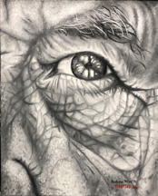 EOTA-Andrew-Whyet