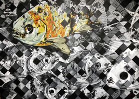 Koi-fish-MMartelli