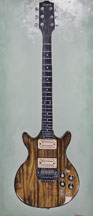 The-guitar