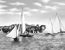 The_Regatta